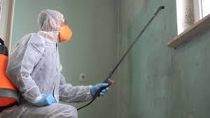 Mold Odor Removal Services in Evendale, OH