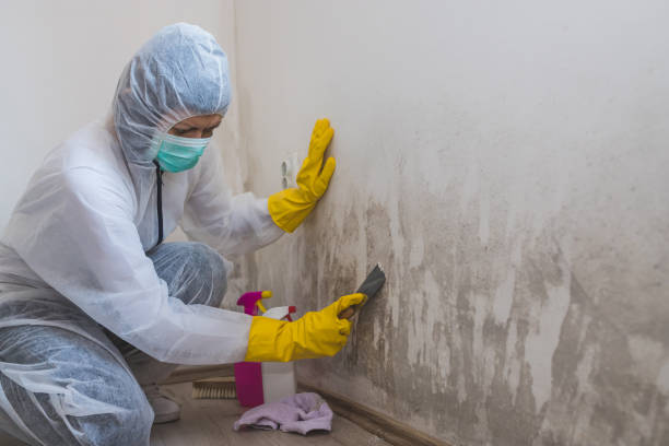 Mold Remediation for Vacation Homes in Evendale, OH