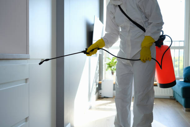 Why You Should Choose Our Mold Remediation Services in Evendale, OH